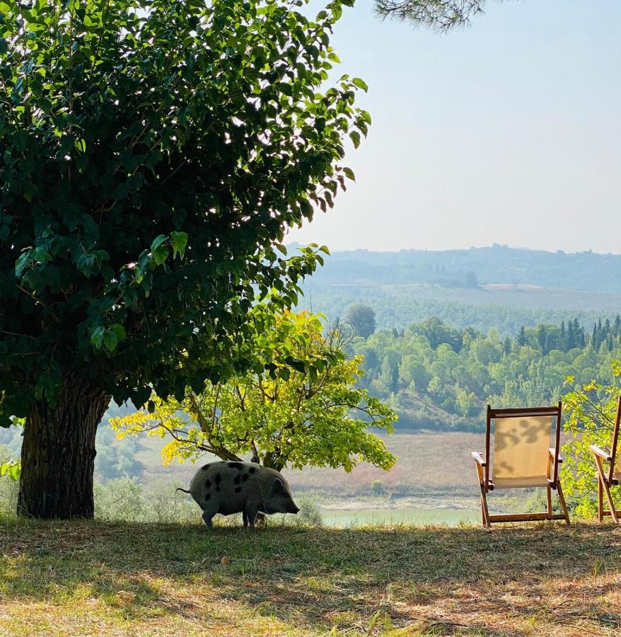 Agriturismo Sole Villa Trequanda Bagian luar foto