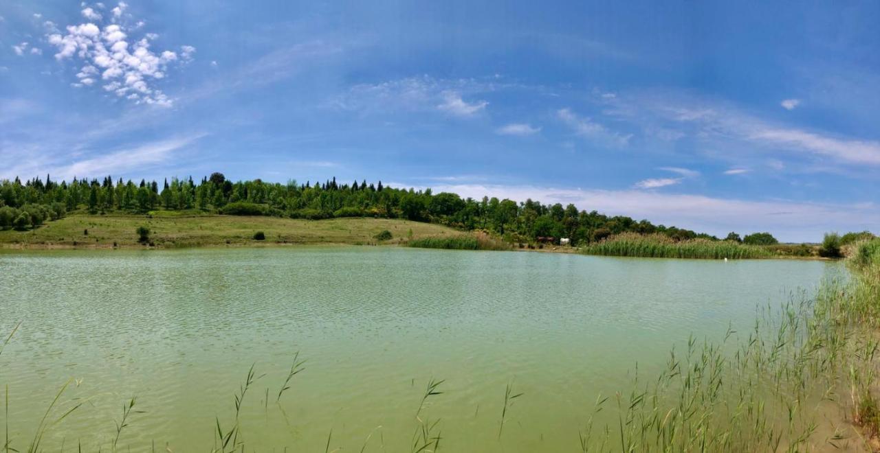 Agriturismo Sole Villa Trequanda Bagian luar foto