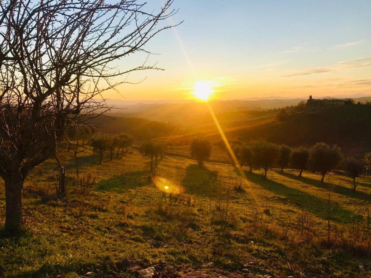 Agriturismo Sole Villa Trequanda Bagian luar foto